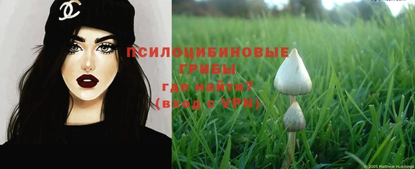 мяу мяу мука Алексин